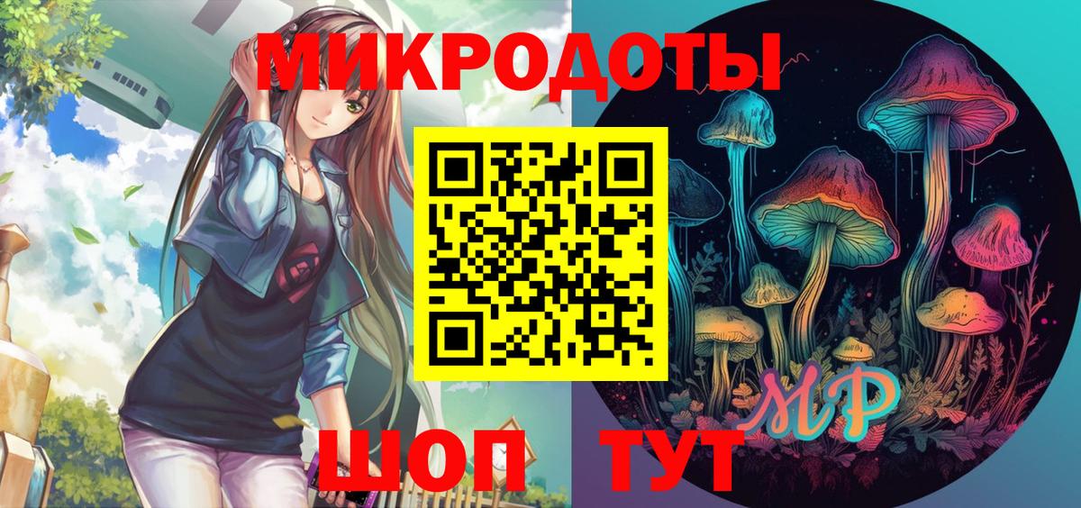 Галлюциногенные грибы Psilocybine cubensis Ленинск-Кузнецкий