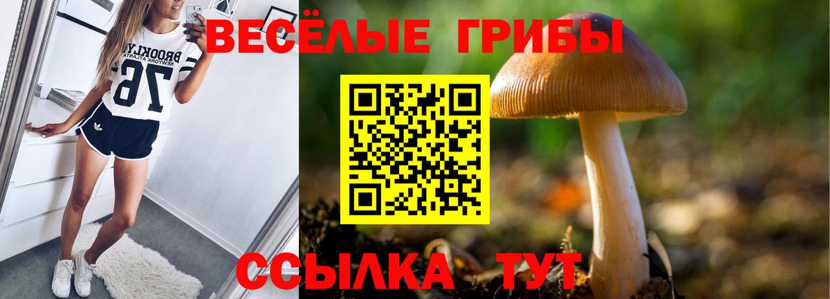 купить  сайты  Вход с VPN  Ленинск-Кузнецкий  Галлюциногенные грибы мицелий 